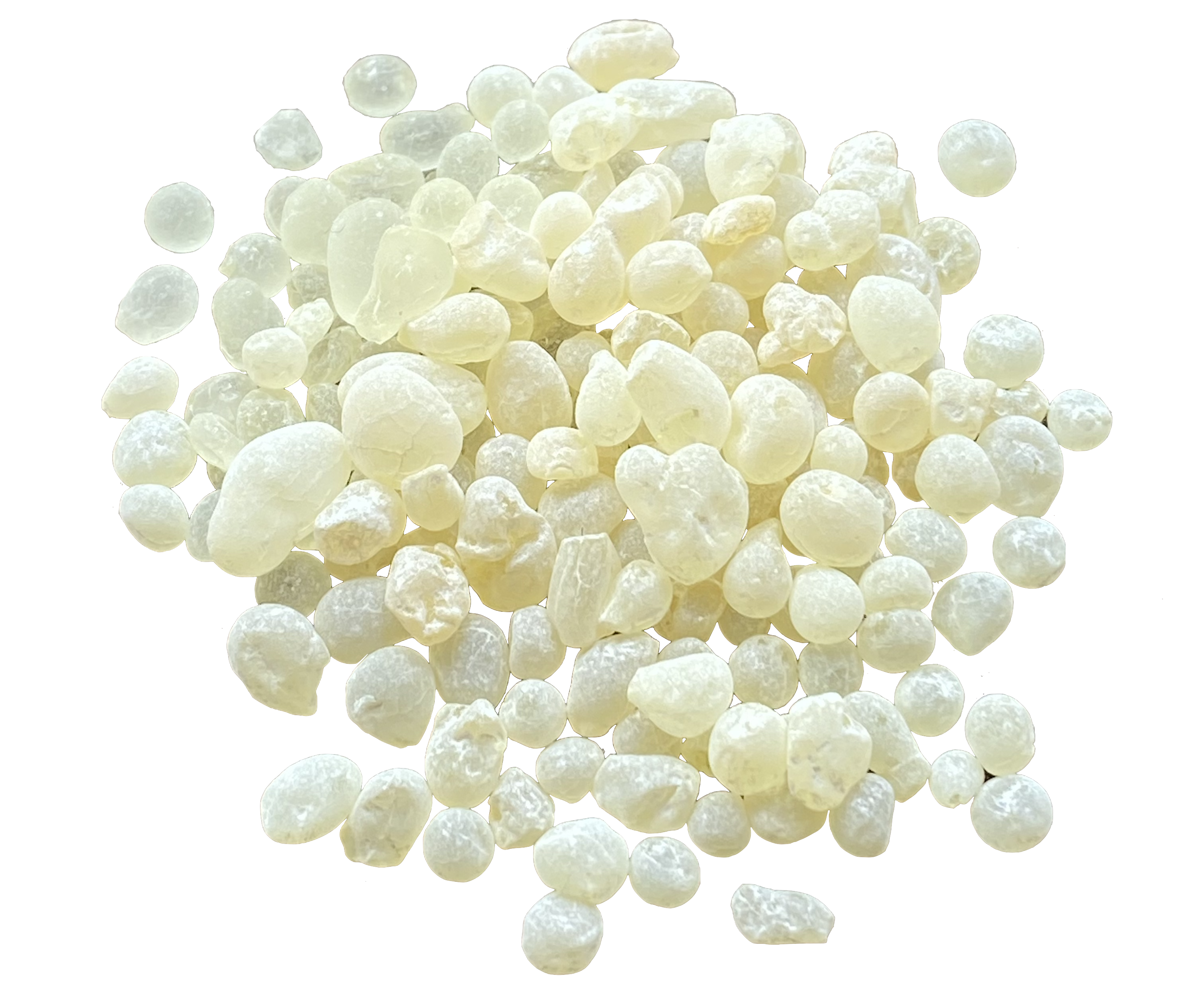 Chios Mastiha - Mastic gum