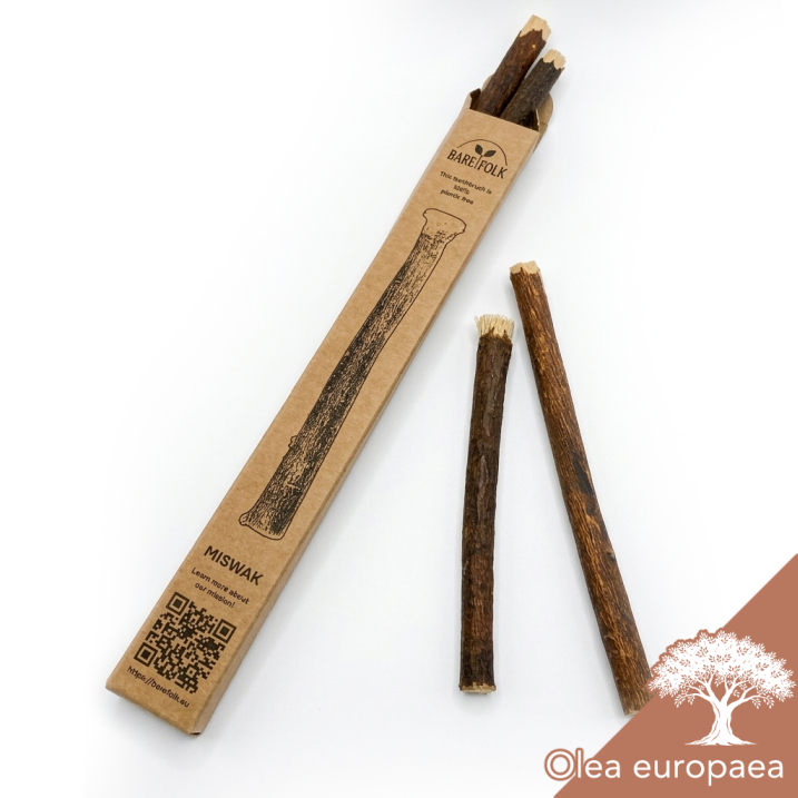 Olive miswak healthy plastic free toothbrush